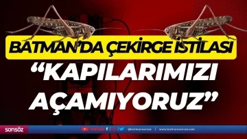 Batman&rsquo;da &ccedil;ekirge istilası