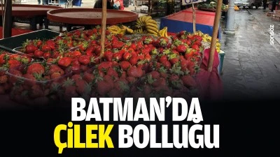 Batman&rsquo;da &ccedil;ilek bolluğu