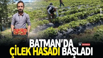 Batman&rsquo;da &ccedil;ilek hasadı başladı
