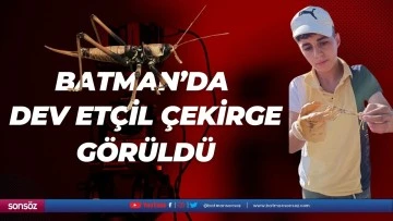 Batman&rsquo;da dev et&ccedil;il &ccedil;ekirge g&ouml;r&uuml;ld&uuml;