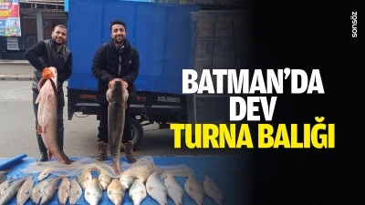 Batman&rsquo;da dev turna balığı