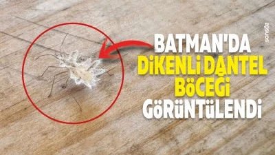 Batman&rsquo;da dikenli dantel b&ouml;ceği g&ouml;r&uuml;nt&uuml;lendi