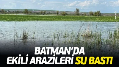 Batman&rsquo;da ekili arazileri su bastı