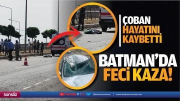 Batman&rsquo;da feci kaza: &Ccedil;oban hayatını kaybetti