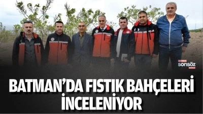 Batman&rsquo;da fıstık bah&ccedil;eleri inceleniyor