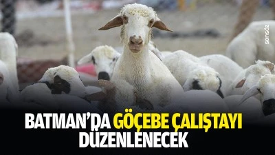 Batman&rsquo;da g&ouml;&ccedil;ebe &ccedil;alıştayı d&uuml;zenlenecek