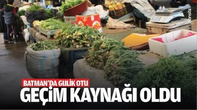 Batman'da gulik otu ge&ccedil;im kaynağı oldu