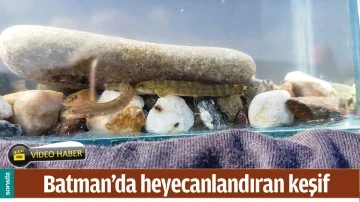 BATMAN&rsquo;DA HEYECANLANDIRAN KEŞİF
