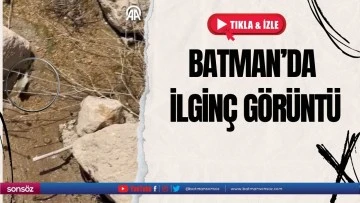 Batman&rsquo;da ilgin&ccedil; g&ouml;r&uuml;nt&uuml;