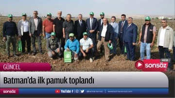 Batman&rsquo;da ilk pamuk toplandı