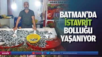 Batman'da istavrit bolluğu yaşanıyor