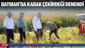 Batman&rsquo;da kabak &ccedil;ekirdeği denendi