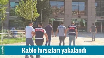 BATMAN'DA KABLO HIRSIZLARI YAKALANDI