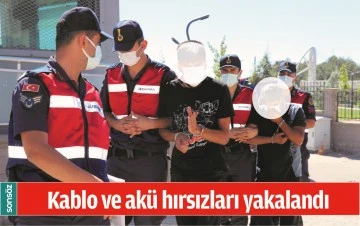 BATMAN'DA KABLO VE AK&Uuml; HIRSIZLARI YAKALANDI