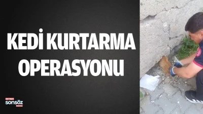 Batman&rsquo;da kedi kurtarma operasyonu