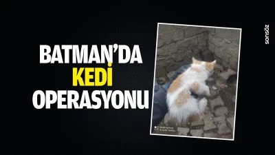 Batman&rsquo;da kedi operasyonu