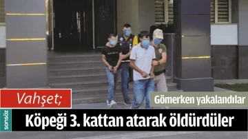 BATMAN'DA K&Ouml;PEĞİ 3. KATTAN ATARAK &Ouml;LD&Uuml;RD&Uuml;LER