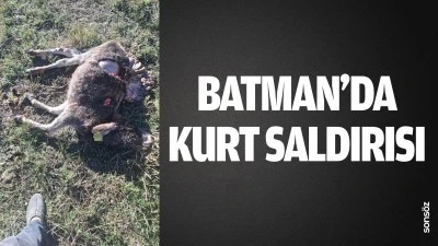 Batman&rsquo;da kurt saldırısı