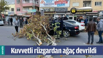 BATMAN'DA KUVVETLİ R&Uuml;ZGARDAN AĞA&Ccedil; DEVRİLDİ