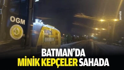 Batman&rsquo;da minik kep&ccedil;eler sahada