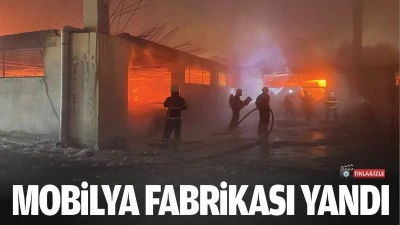 Batman&rsquo;da mobilya fabrikası yandı