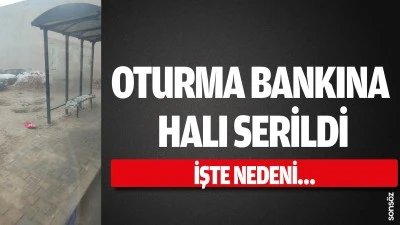 Batman&rsquo;da oturma bankına halı serildi
