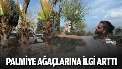 Batman&rsquo;da palmiye ağa&ccedil;larına ilgi arttı