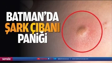Batman&rsquo;da şark &ccedil;ıbanı paniği