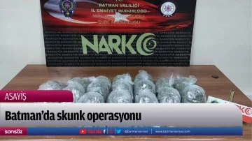 Batman'da skunk operasyonu