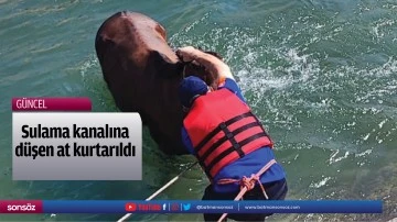 Batman'da sulama kanalına d&uuml;şen at kurtarıldı