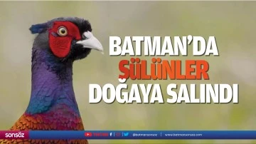 Batman&rsquo;da s&uuml;l&uuml;nler doğaya salındı