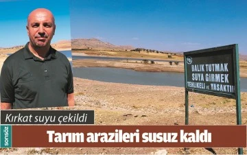 BATMAN'DA TARIM ARAZİLERİ SUSUZ KALDI