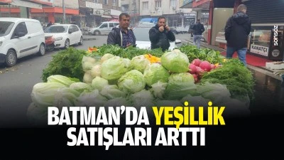 Batman&rsquo;da yeşillik satışları arttı