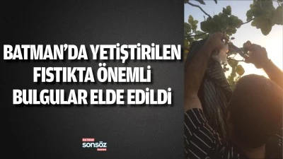 Batman&rsquo;da yetiştirilen fıstıkta &ouml;nemli bulgular elde edildi