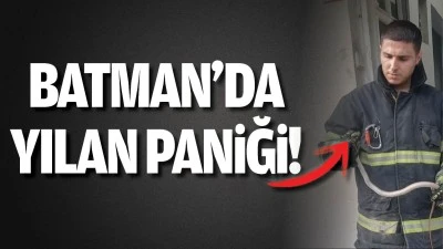 Batman&rsquo;da yılan paniği!