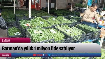 Batman&rsquo;da yıllık 1 milyon fide satılıyor