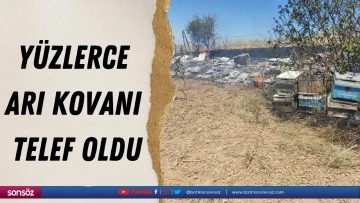 Batman&rsquo;da y&uuml;zlerce arı kovanı telef oldu