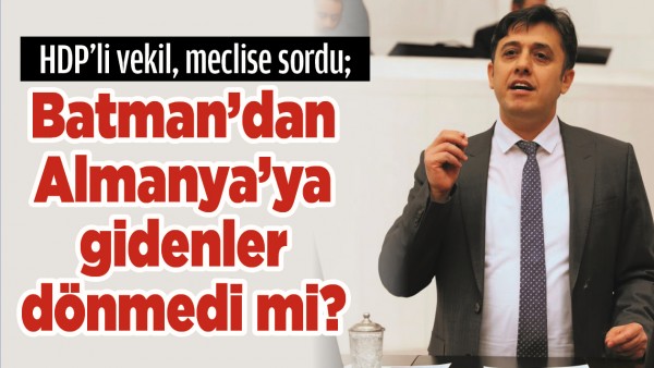BATMAN&rsquo;DAN ALMANYA&rsquo;YA GİDENLER D&Ouml;NMEDİ Mİ?
