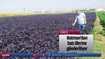 Batman&rsquo;dan batı illerine g&ouml;nderiliyor