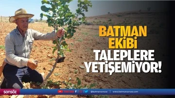Batman ekibi, taleplere yetişemiyor
