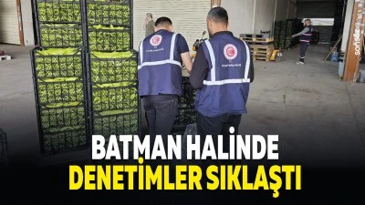 Batman Halinde denetimler sıklaştı