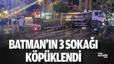 Batman&rsquo;ın 3 sokağı k&ouml;p&uuml;klendi