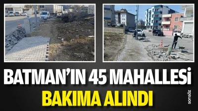 Batman&rsquo;ın 45 mahallesi bakıma alındı