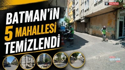 Batman&rsquo;ın 5 mahallesi temizlendi