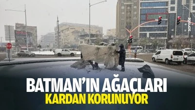 Batman&rsquo;ın ağa&ccedil;ları kardan korunuyor