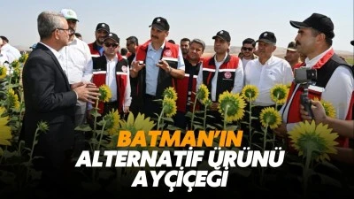Batman&rsquo;ın alternatif &uuml;r&uuml;n&uuml; ay&ccedil;i&ccedil;eği&hellip;