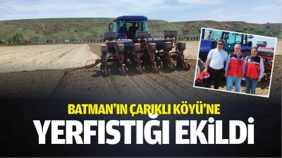 Batman&rsquo;ın &Ccedil;arıklı K&ouml;y&uuml;&rsquo;ne yerfıstığı ekildi