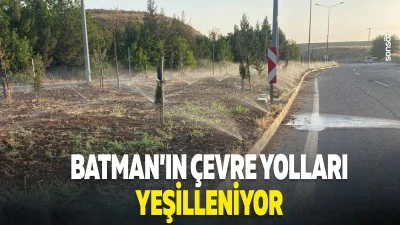 Batman&rsquo;ın &ccedil;evre yolları yeşilleniyor
