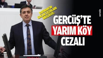 Batman&rsquo;ın ka&ccedil;ak cezaları mecliste: Gerc&uuml;ş&rsquo;te yarım k&ouml;y cezalı