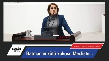 BATMAN&rsquo;IN K&Ouml;T&Uuml; KOKUSU MECLİSTE...